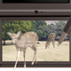 Illustration for article titled Is This The New Nintendo 3DS Touchscreen?